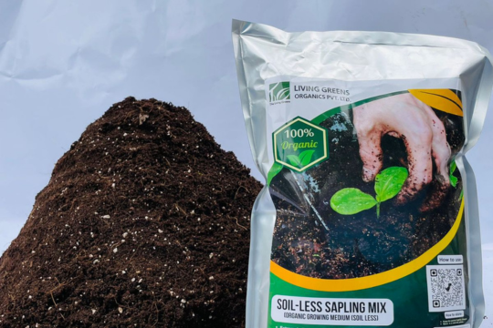 Soil-Less Sapling Mix (2kg)