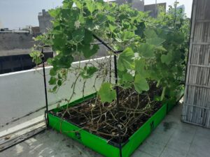 Urban Farming System Pictures
