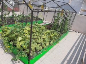 Urban Farming System Pictures