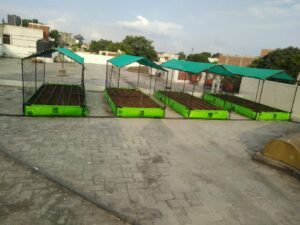 Urban Farming