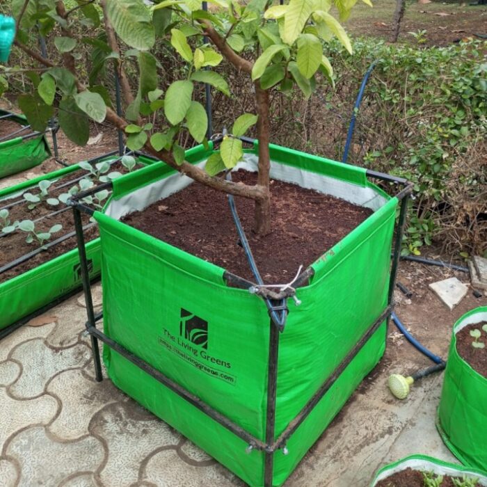 Fruit Growing System(450 GSM)