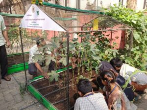 School Farming