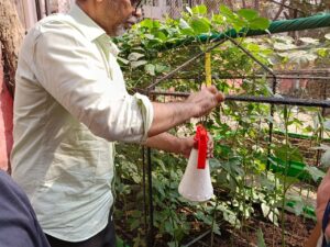 School Farming