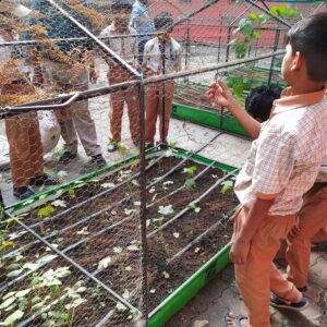 School Farming