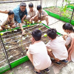 School Farming