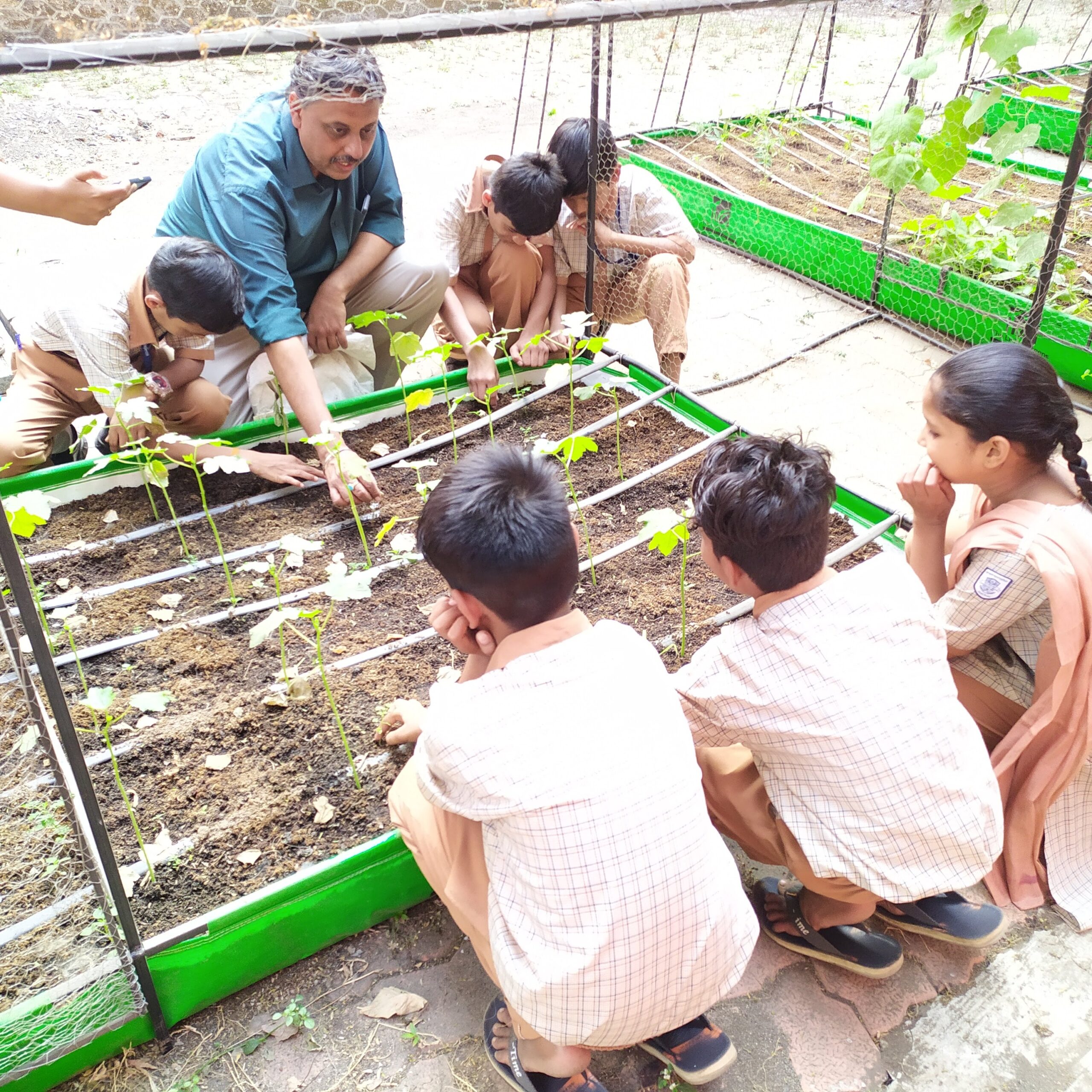 School Farming