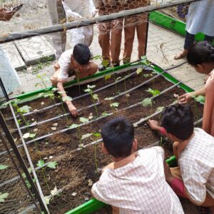 School Farming pictures