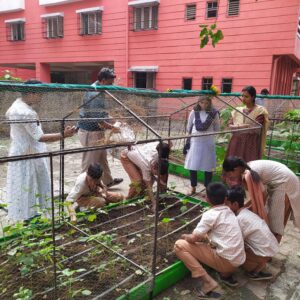 School Farming pictures