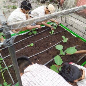 School Farming pictures