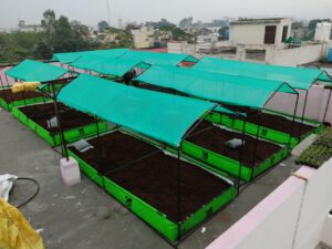 Urban Farming