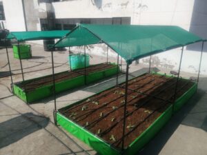 Urban Farming System Pictures