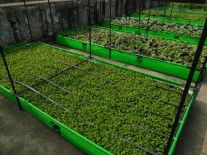 Urban Farming System Pictures