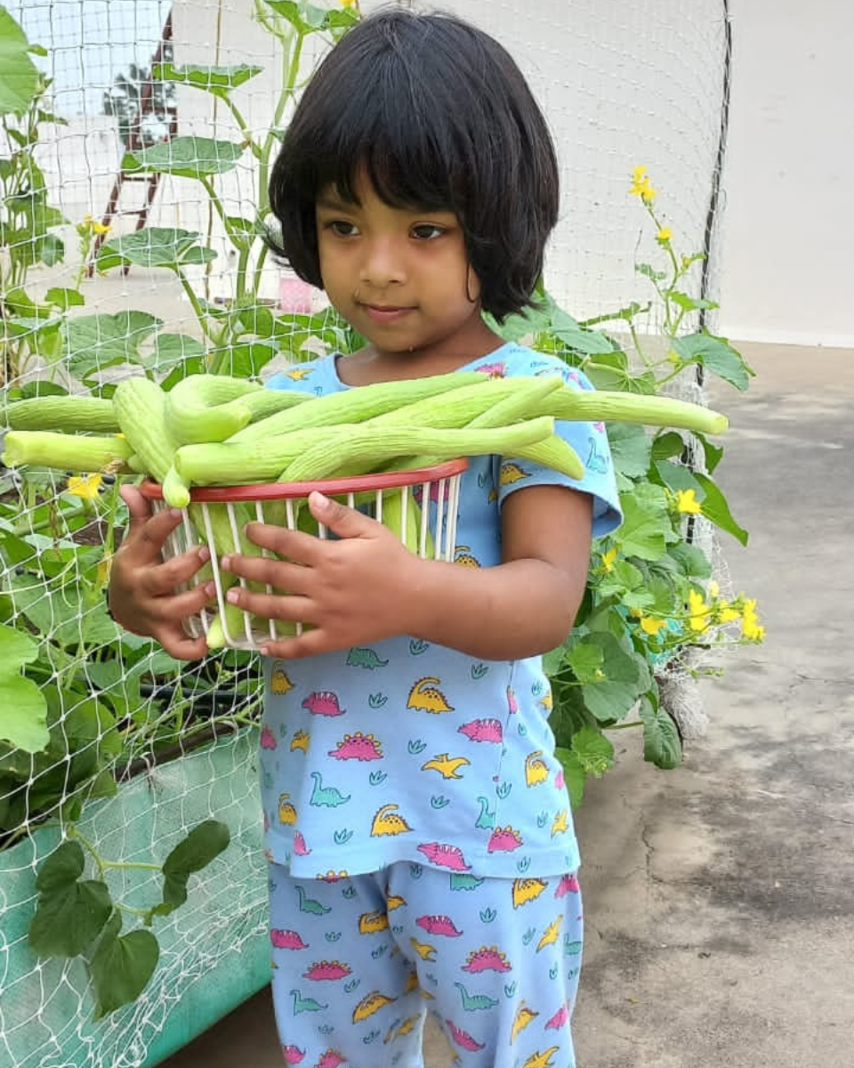 Rooftop Farming