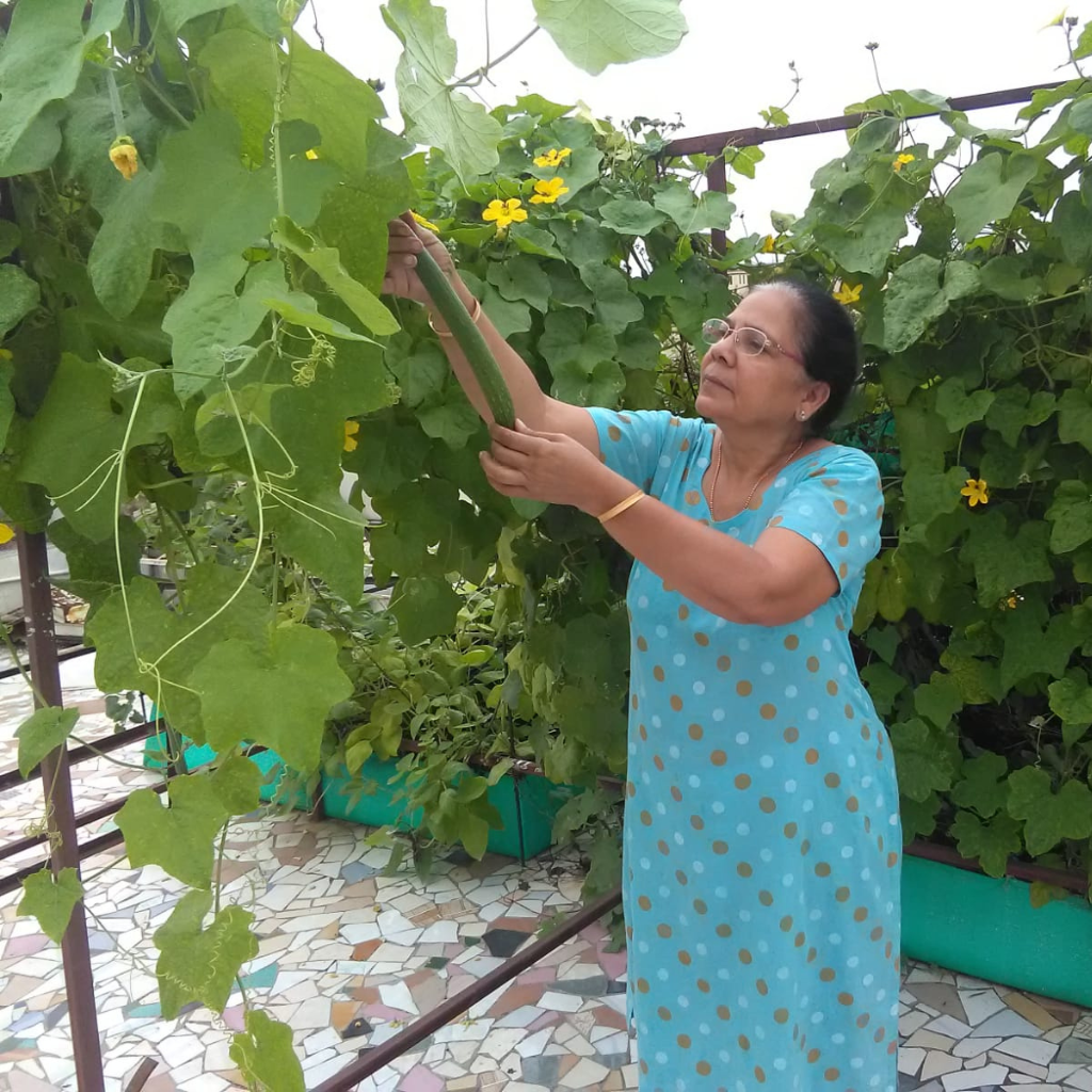 Portable Farming System 3 Portable Farming System