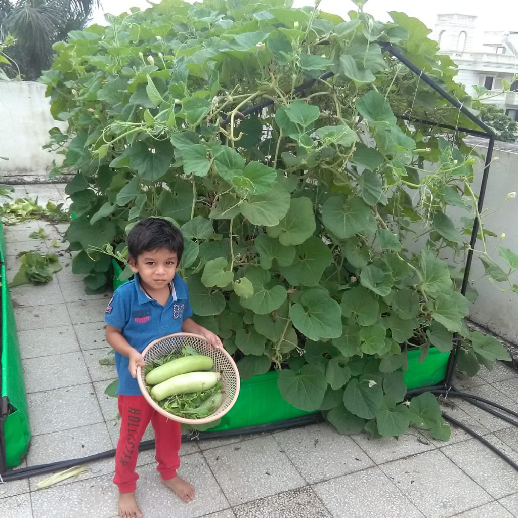 Portable Farming System 4 Portable Farming System