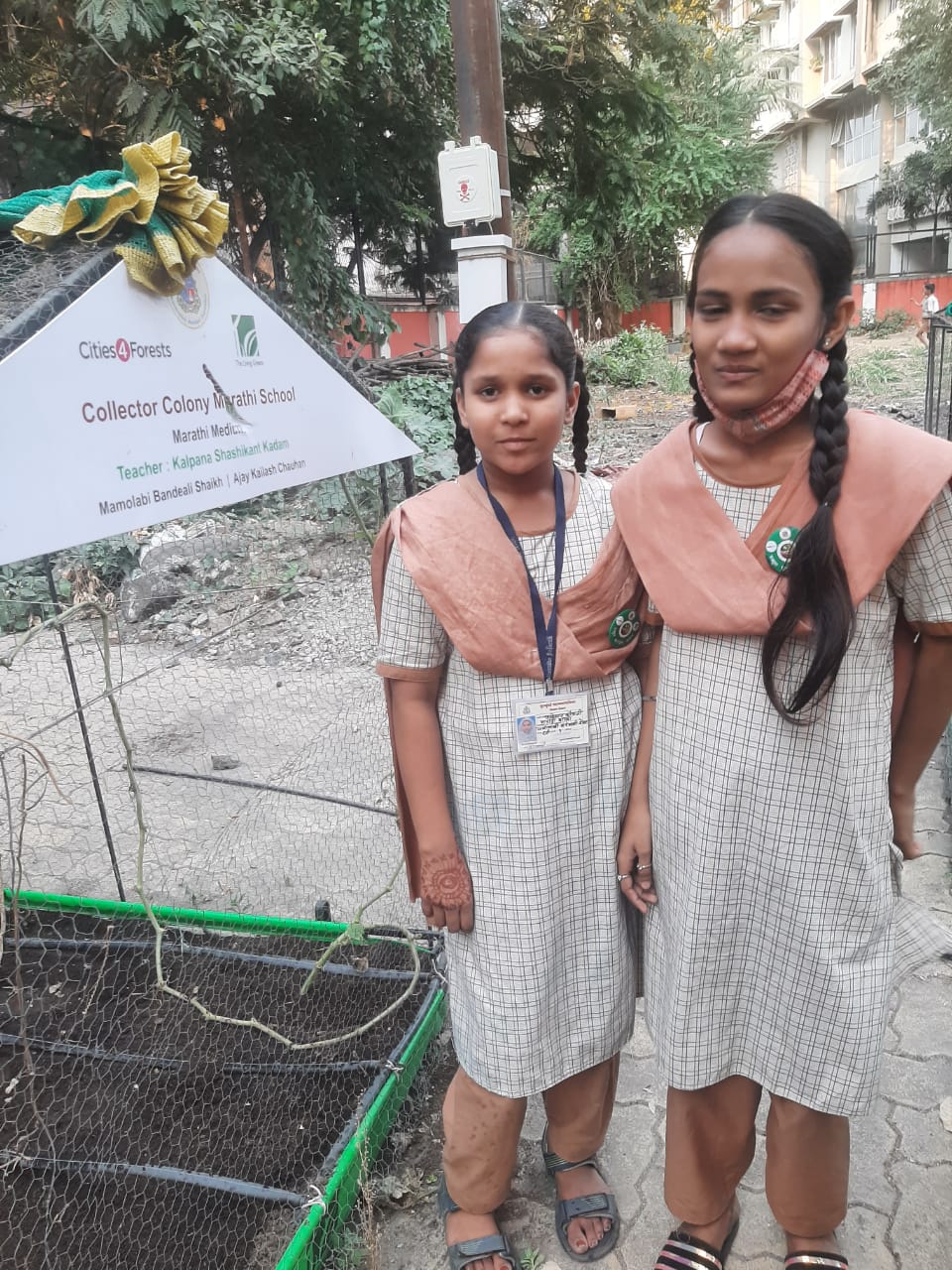 School Farming