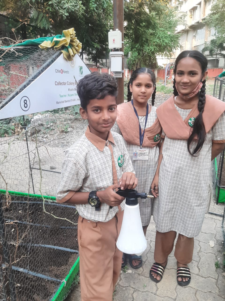 School Farming