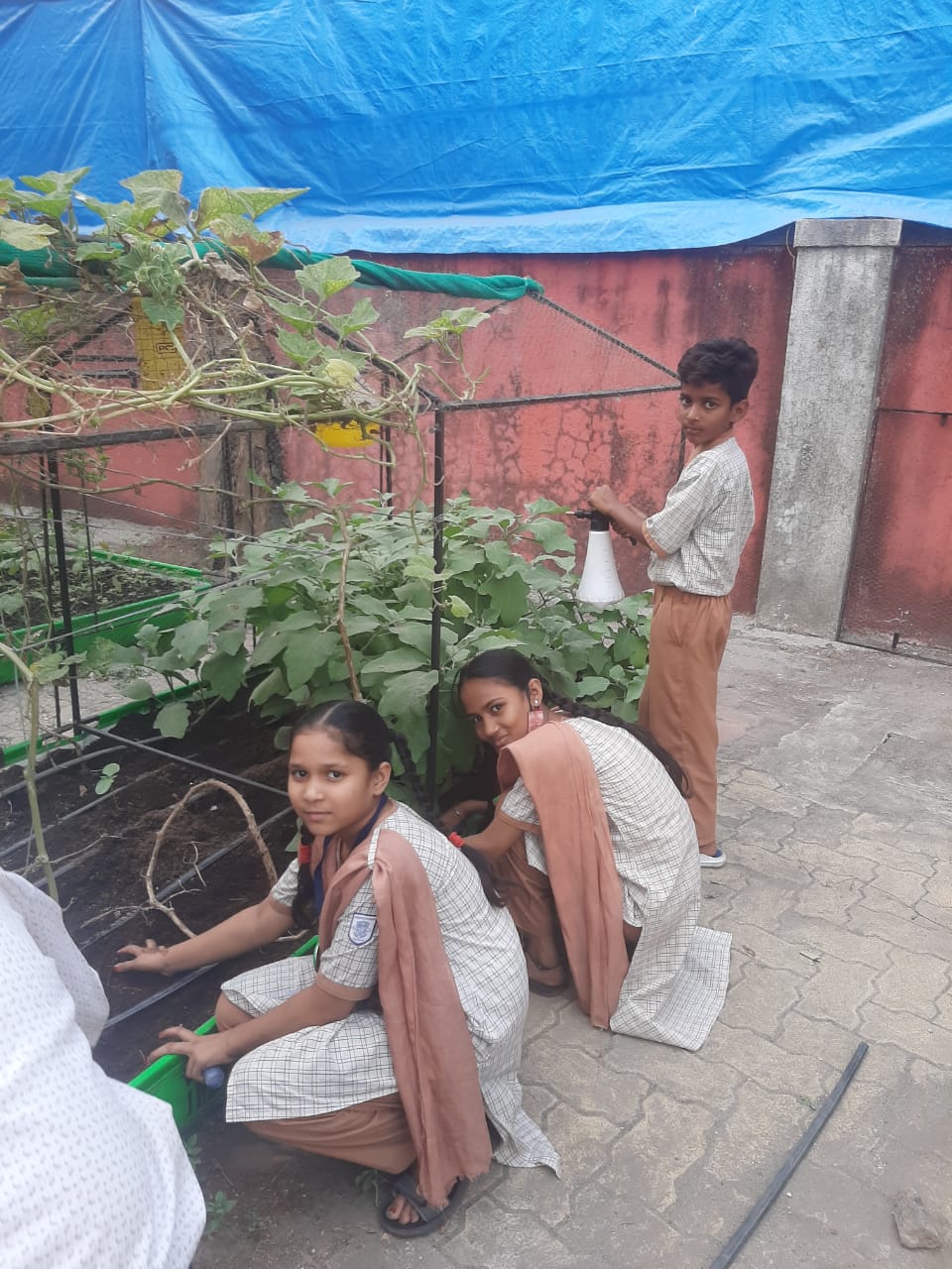 School Farming