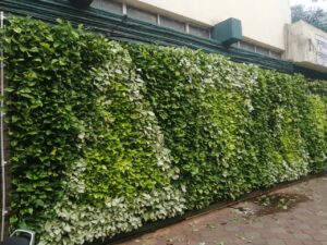 Vertical Green Scaping Pictures
