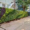 Low Density Green Walls