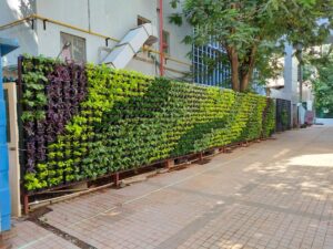 Vertical Green Scaping Pictures
