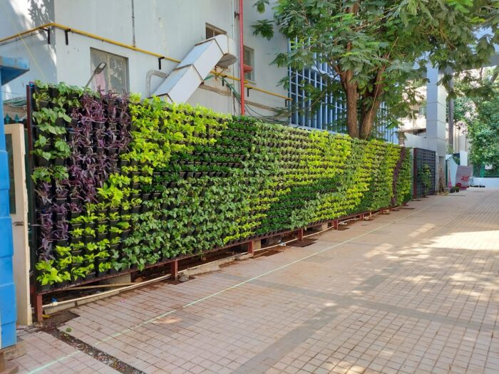 Low Density Green Walls