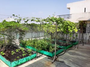 Urban Farming System Pictures