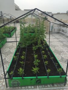 Urban Farming System Pictures