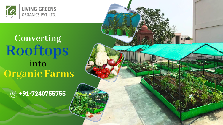 Converting Rooftops into Organic Farms