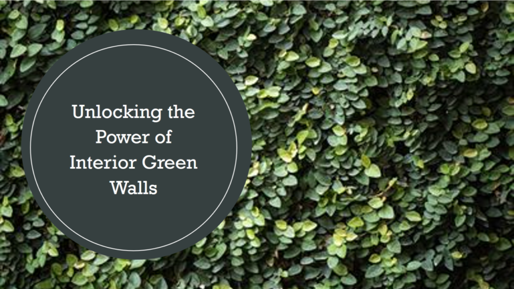 Beyond Beauty: Unveiling the Green Oasis Within - The Power of Interior Green Walls in Schools