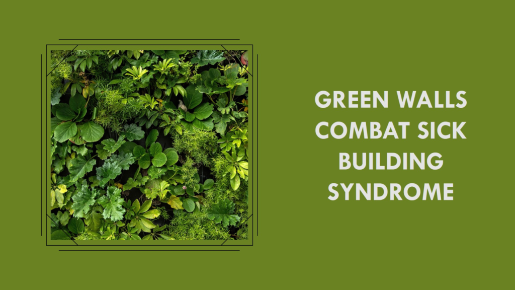 Breathe Easy: How Green Walls Combat Sick Building Syndrome