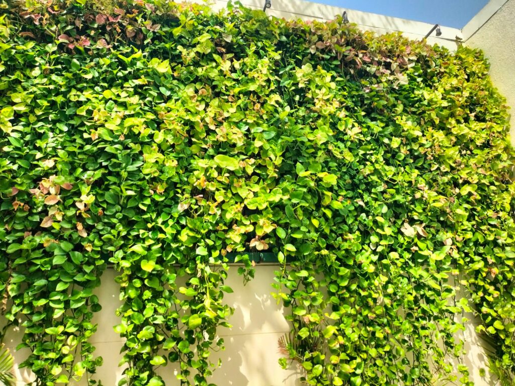The Best Green Wall Company in India