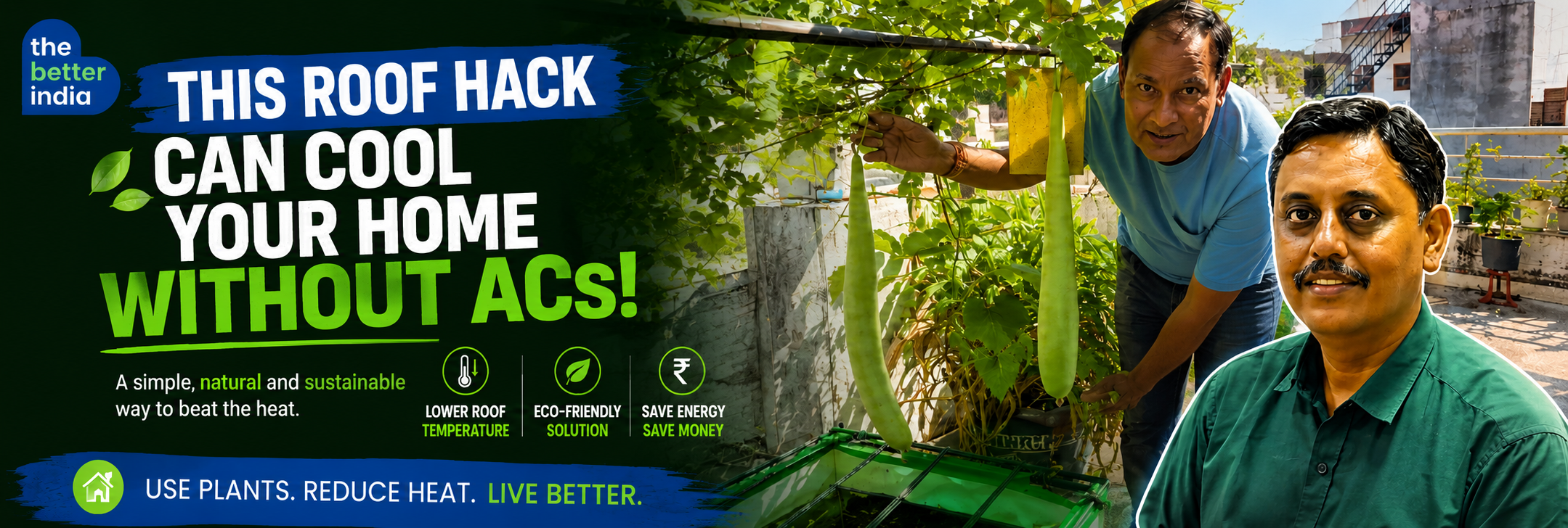 Grow organic at home